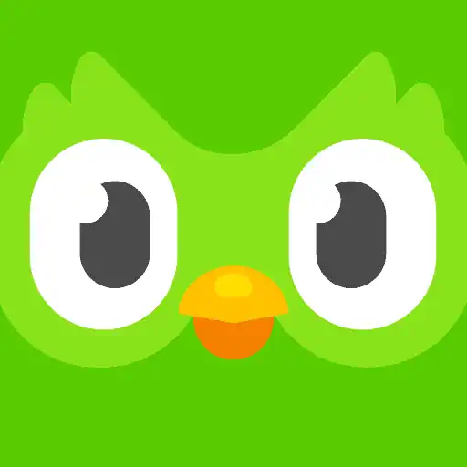 تحميل برنامج دولينجو للكمبيوتر Duolingo بدون نت 2025 مجاناً