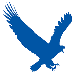 تنزيل EagleGet Download Manager مجانًا
